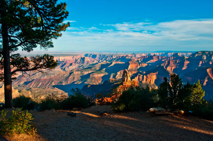 grand-canyon-trail-running.jpg